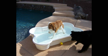 2 QTY Bone Pool™️ and 2 QTY Paw Pool™️ Package by One Dog One Bone™️