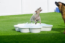 1 QTY Bone Pool™️and 1 QTY Paw Pool™️ Package by One Dog One Bone™️