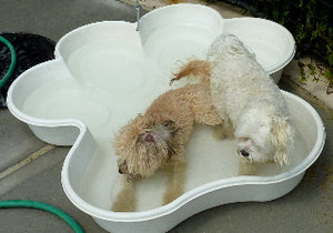 2 Bone Pools 1 Paw Pool Package